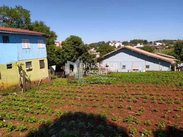 Terreno, foto 2