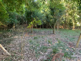 Área rural com 1 dormitório, foto 9