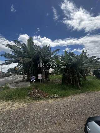 Terreno, foto 1