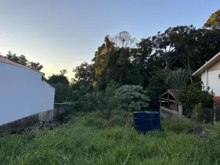 Paisagem externa mostrando um gramado alto e vegetação densa em uma propriedade.