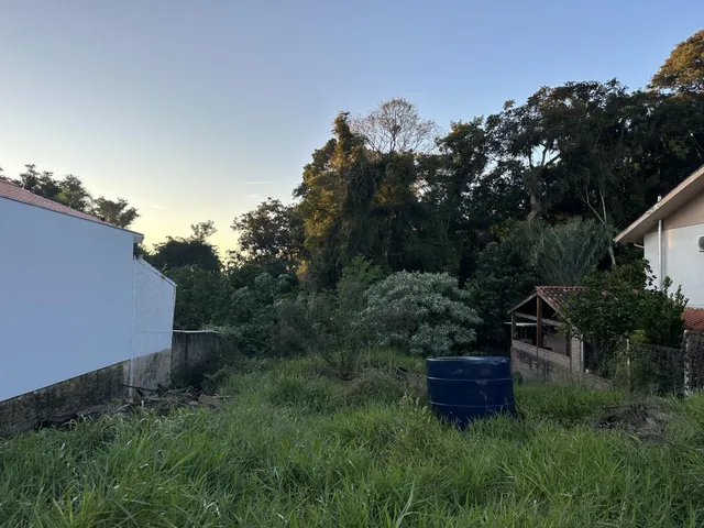 Paisagem externa mostrando um gramado alto e vegetação densa em uma propriedade.