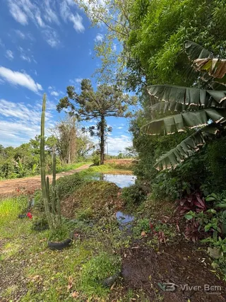 Área rural com 2 dormitórios, foto 10