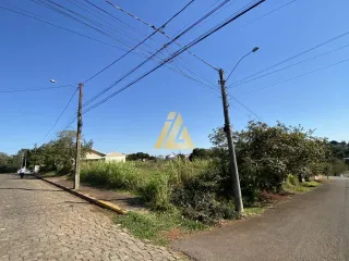 Terreno, foto 7