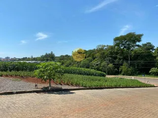Terreno, foto 5