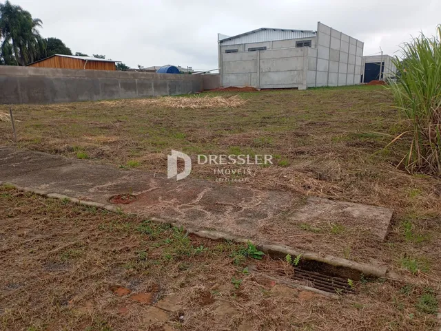 Terreno, foto 3