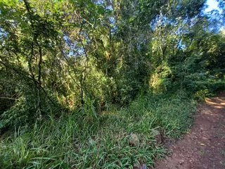 Área rural com 1 dormitório, foto 5