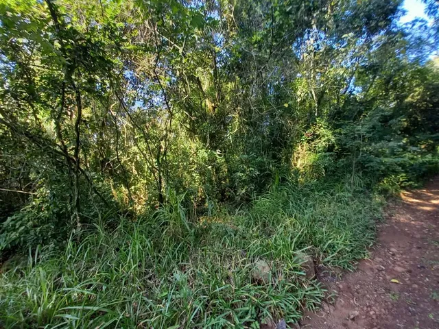 Área rural com 1 dormitório, foto 5