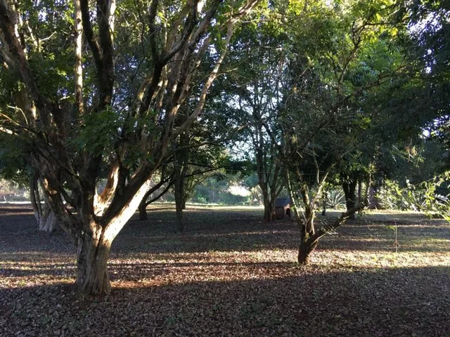 Casa com 7 dormitórios, foto 4
