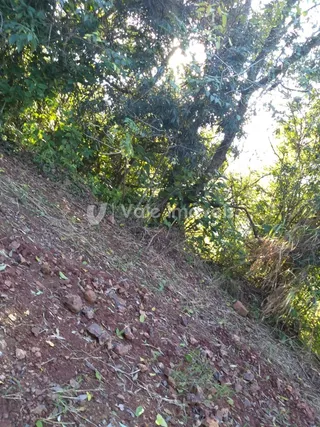 Área rural, foto 4