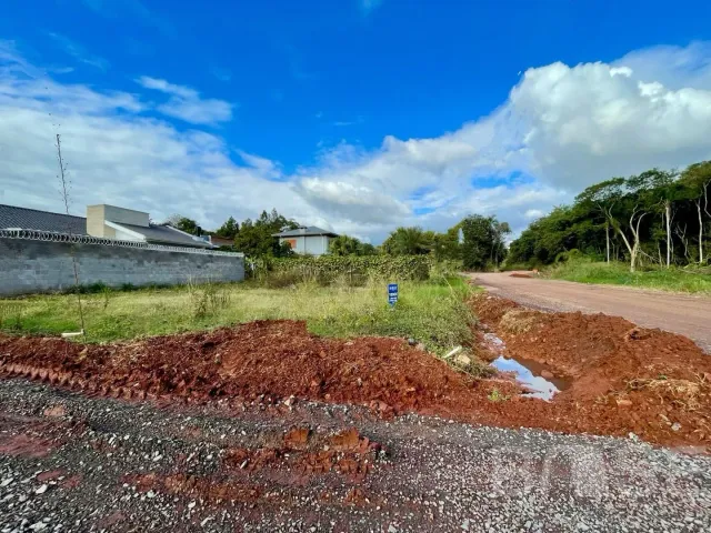 Terreno, foto 3