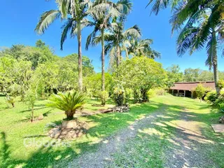 A paisagem mostra um jardim verde com palmeiras e vegetação exuberante.