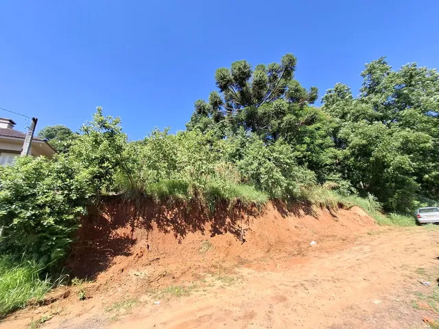 Terreno, foto 2