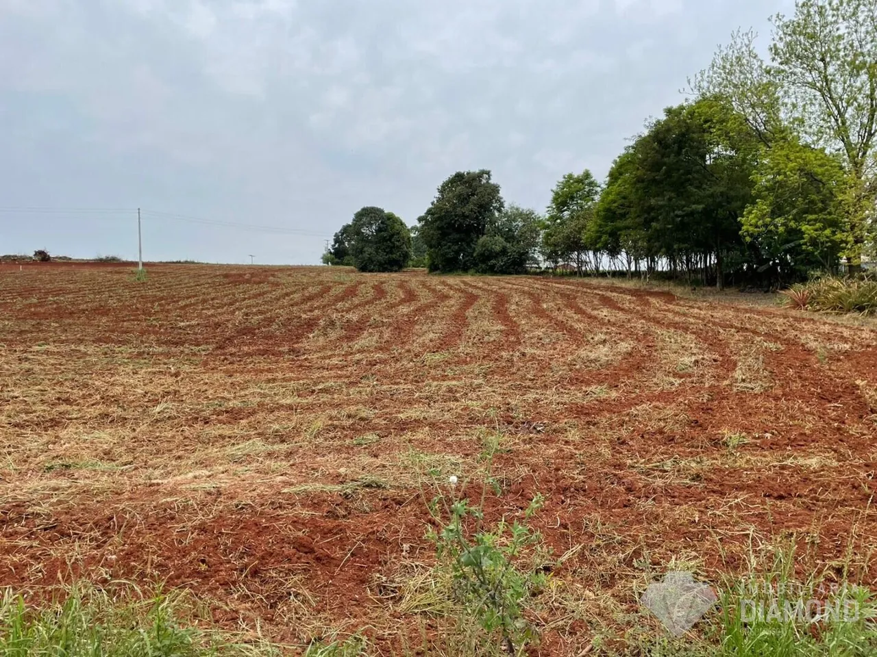 Área rural, foto 1