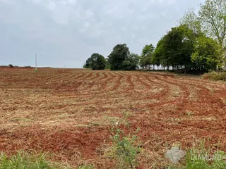 Área rural, foto 1