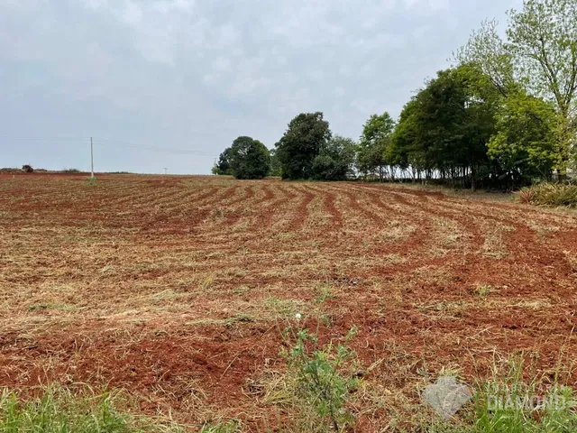 Campo de terra arada no interior de Lajeado.