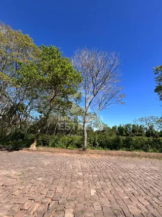 Terreno, foto 5