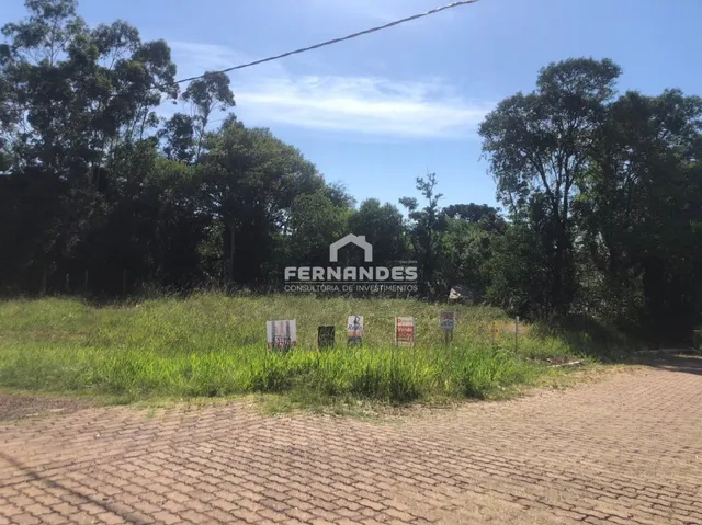 Terreno, foto 2