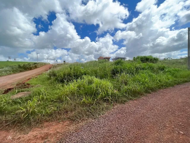 Terreno, foto 3