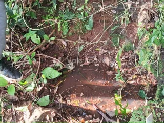 Área rural com 2 dormitórios, foto 10