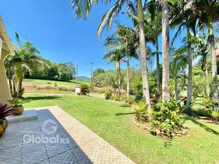 Vista externa de um jardim gramado com palmeiras e um pátio.