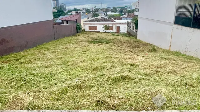 Terreno, foto 2