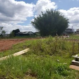 Terreno, foto 3