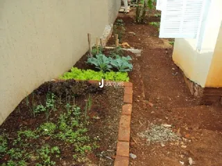 Vista de um terreno com vegetação e parede de alvenaria.