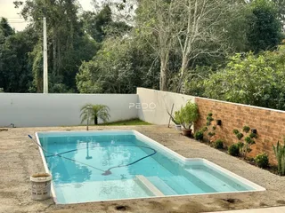 Foto de uma piscina externa com muro de tijolos e vegetação ao fundo.