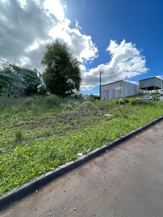 Vista externa de um terreno com vegetação e estruturas industriais ao fundo.
