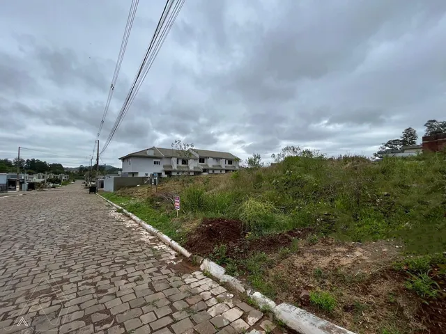 Terreno, foto 3