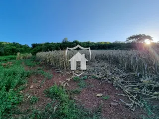 Área rural com 4 dormitórios, foto 16