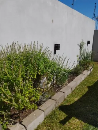 Casa com 2 dormitórios, foto 32