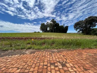 Terreno, foto 1