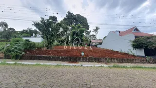 Terreno, foto 2