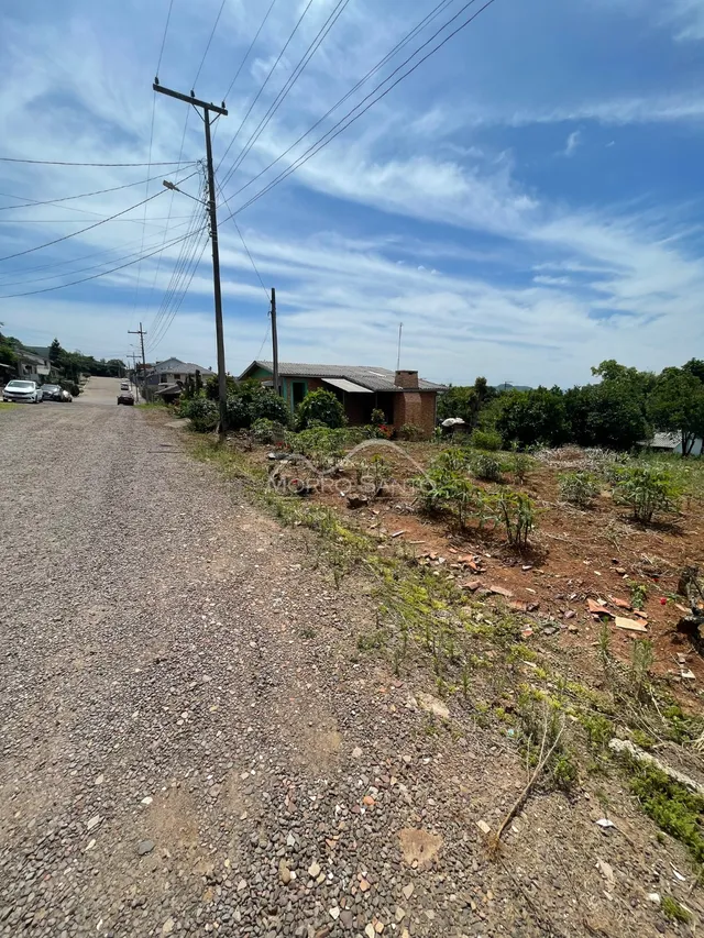 Vista de uma estrada de terra com postes de eletricidade.