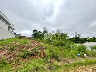 Vista de uma encosta com vegetação densa e uma edificação ao fundo.