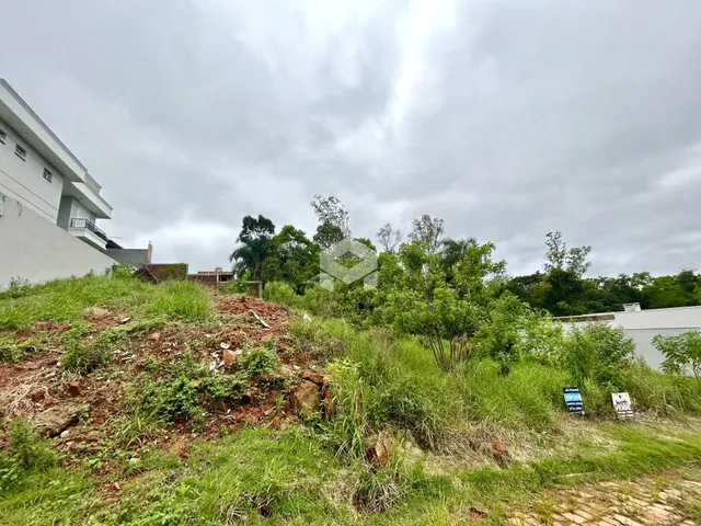 Vista de uma encosta com vegetação densa e uma edificação ao fundo.