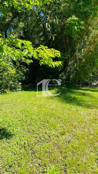 Terreno, foto 8