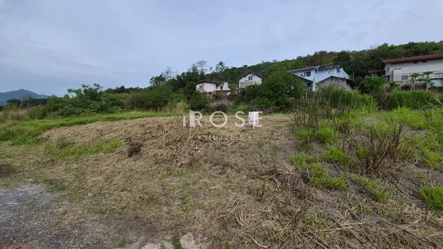 Paisagem de terreno com vegetação seca em frente a residências na Lajeado.