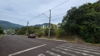 Vista da rua com árvores e postes em Lajeado, Brasil.