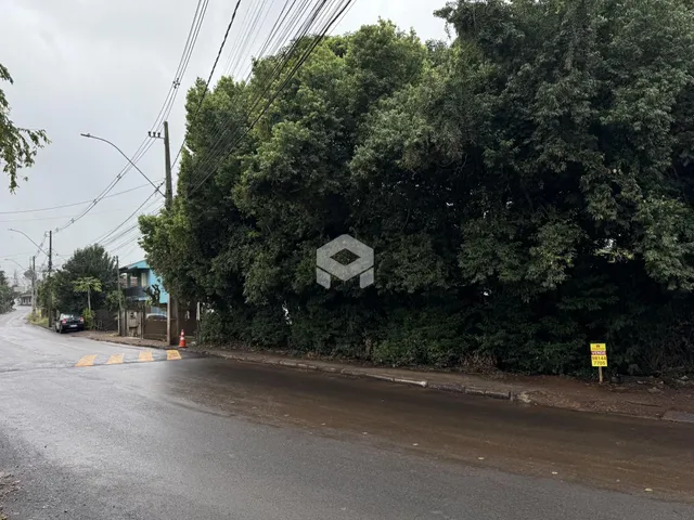 Vista da rua em Lajeado, Brasil, com vegetação densa ao longo da via.