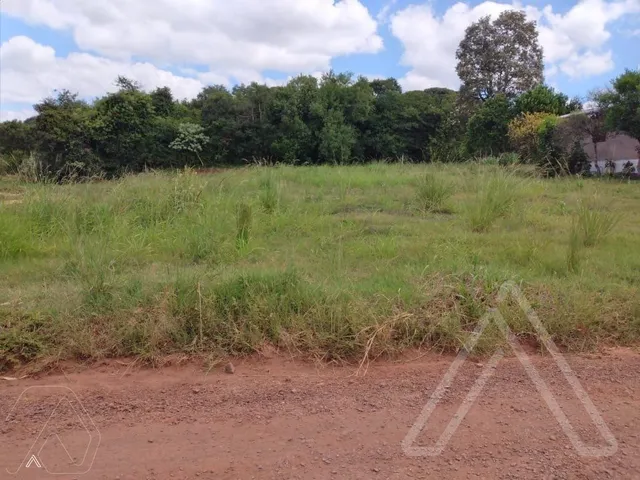 Terreno, foto 3