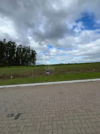 Terreno, foto 5