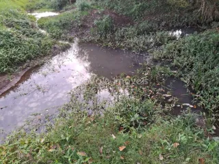 Área rural, foto 6