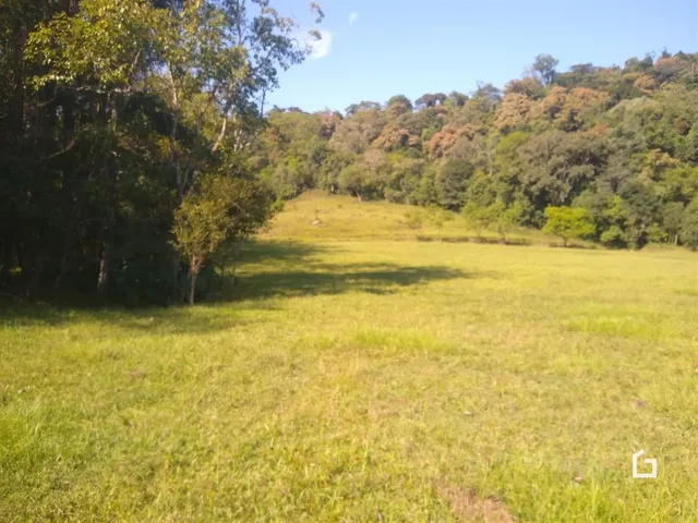 Vista de um campo gramado com árvores ao fundo.