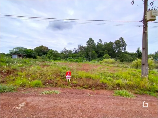 Vista externa de terreno com vegetação alta e solo de terra vermelha.