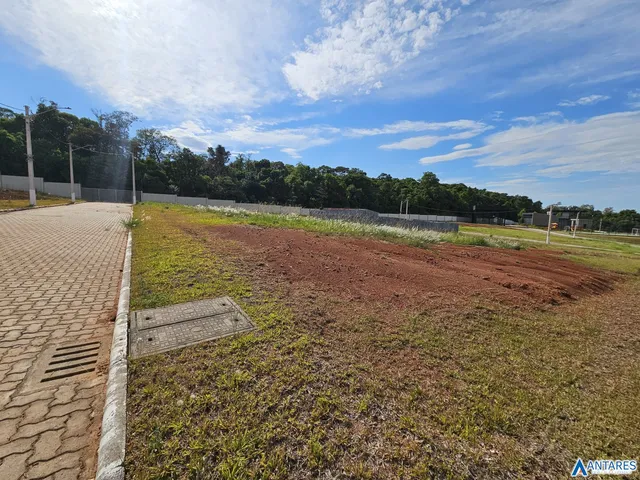 Terreno, foto 2