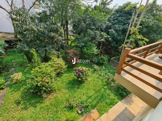 Vista de um jardim com grama verde e vegetação densa.