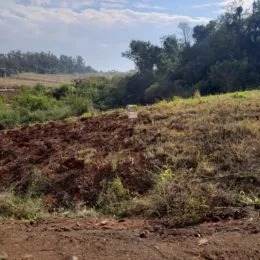 Vista de uma área de terra com vegetação rasteira em uma paisagem externa.