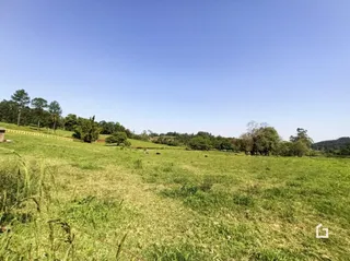 Campo gramado extenso sob um céu azul claro.